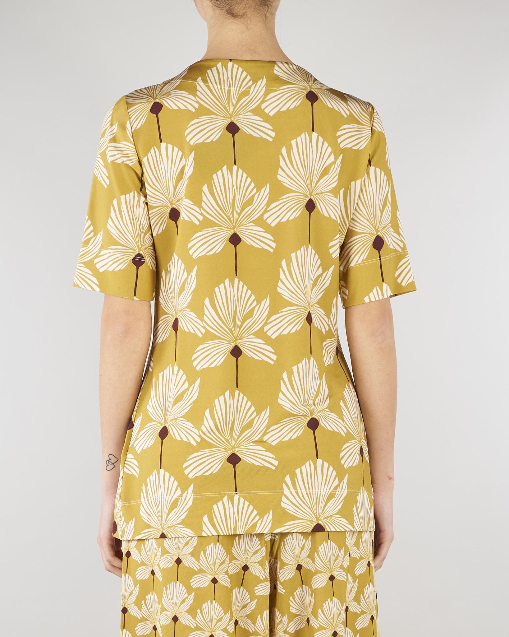 Blusa Verde a fantasia D5204263 25 CLIPS 